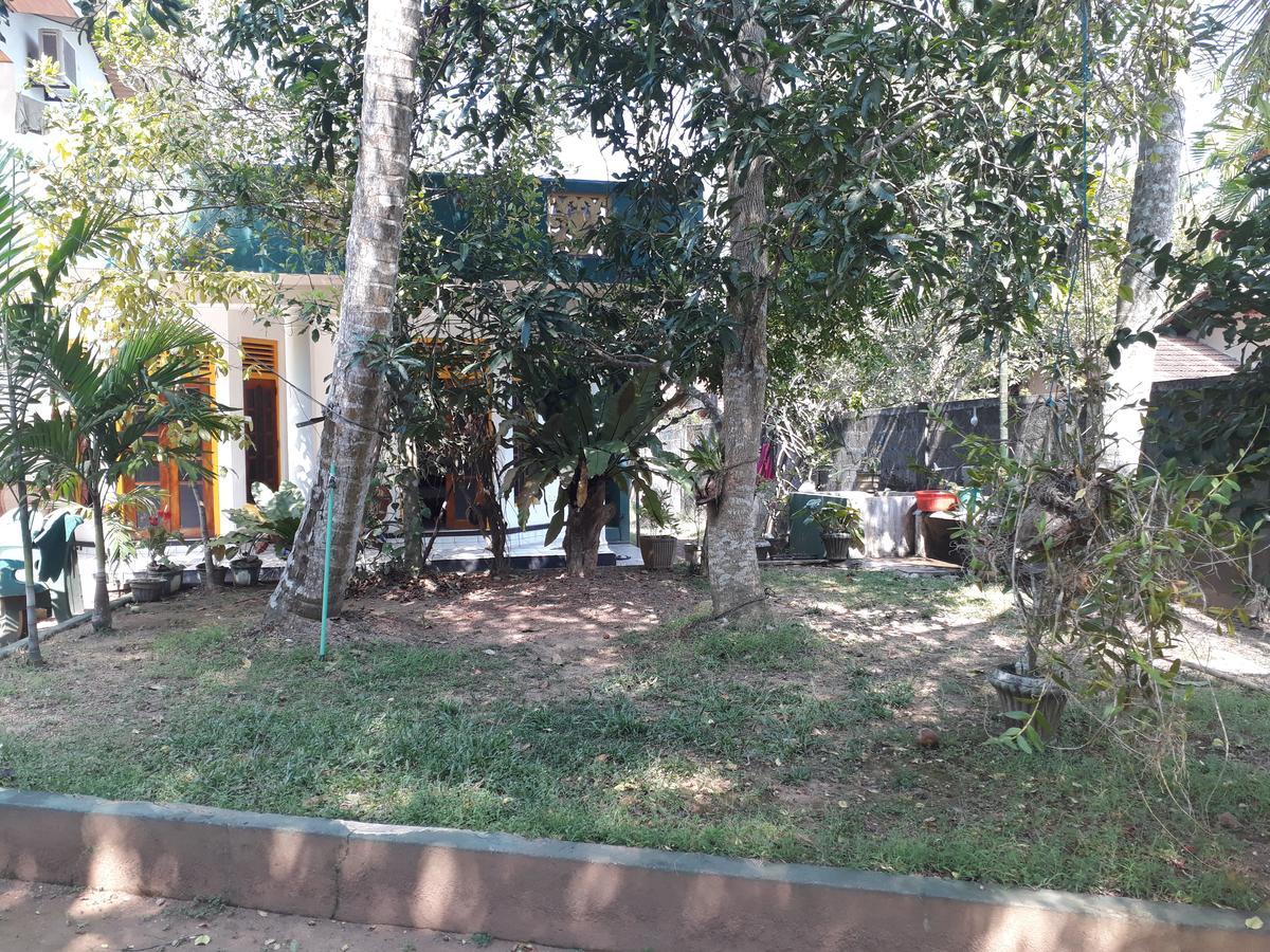 Guesthouse Sunshine Aluthgama Exterior foto